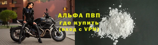 винт Вяземский