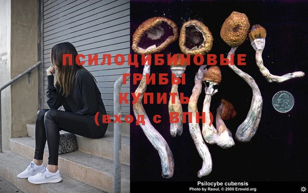apvp Володарск